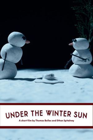 Under the Winter Sun's poster