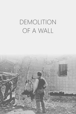Demolition of a Wall's poster