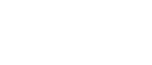 Double Team's poster