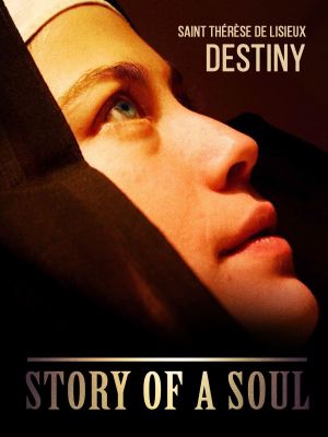 Story of a Soul's poster