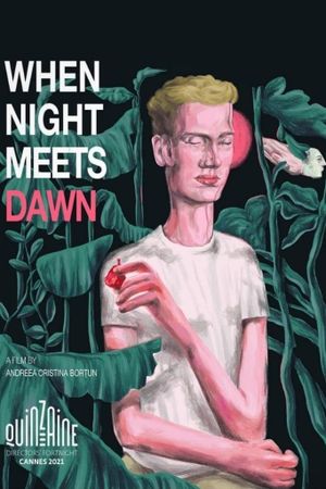 When Night Meets Dawn's poster
