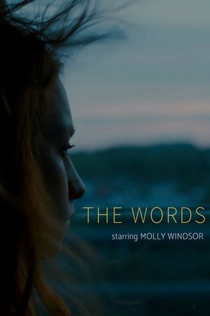 The Words's poster
