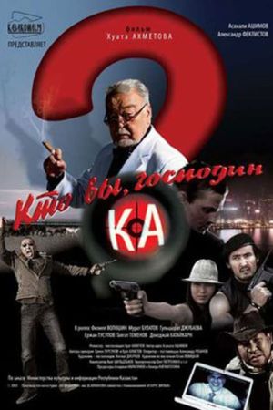 Who Are You Mr. K?'s poster image