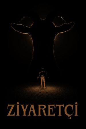 Visitor's poster image
