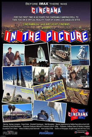 In the Picture's poster
