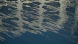 Lady in the Water's poster