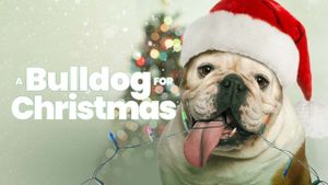A Bulldog for Christmas's poster