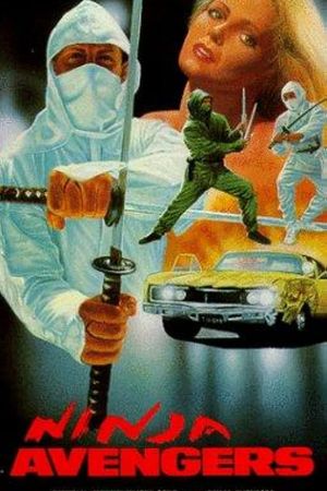 Ninja Avengers's poster