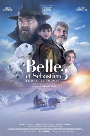 Belle and Sebastian, Friends for Life's poster