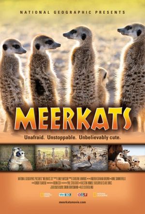 Meerkats 3D's poster