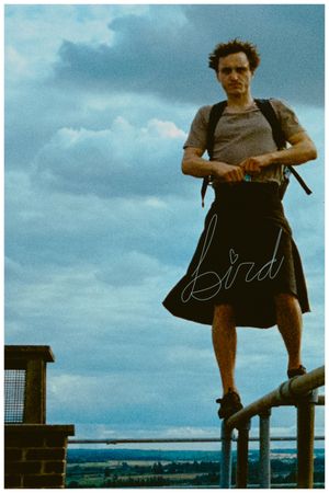 Bird's poster
