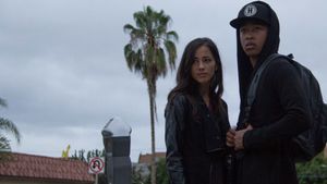 Sleight's poster