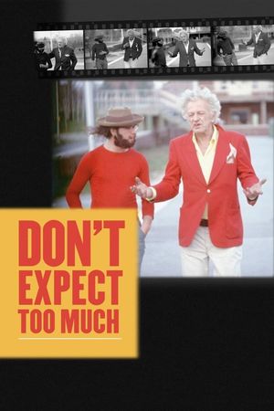 Don't Expect Too Much's poster