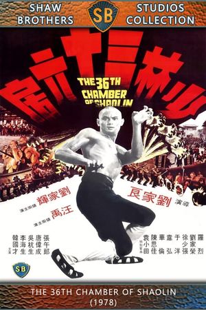 The 36th Chamber of Shaolin's poster