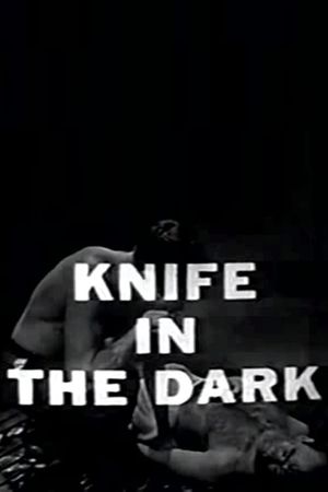 Knife in the Dark's poster