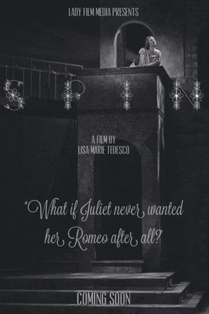 Spin's poster