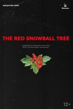 The Red Snowball Tree's poster
