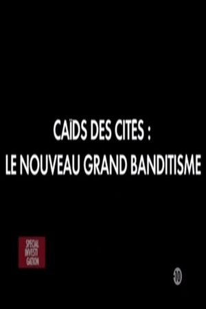 Caïds des cités: Le nouveau grand banditisme's poster