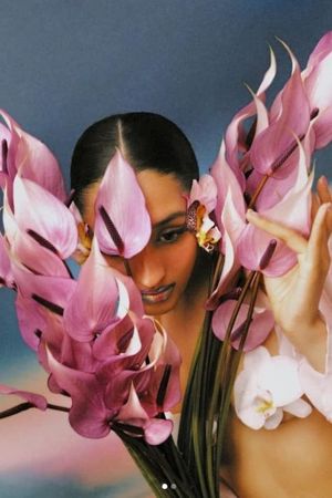 Where The Butterflies Went's poster