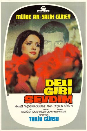 Deli Gibi Sevdim's poster