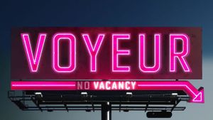 Voyeur's poster