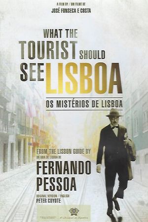 What The Tourist Should See's poster image