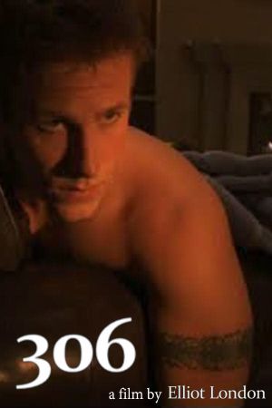 306's poster