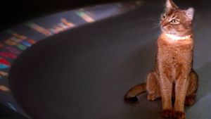 The Cat from Outer Space's poster