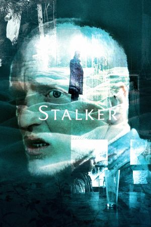 Stalker's poster