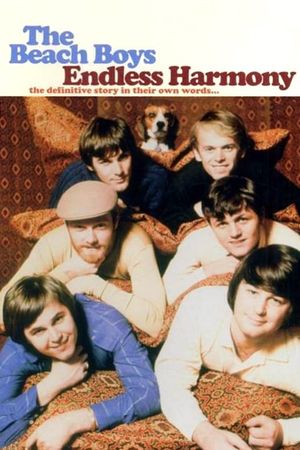 The Beach Boys: Endless Harmony's poster