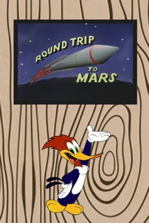 Round Trip to Mars's poster