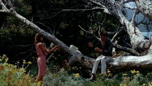 Pierrot le Fou's poster