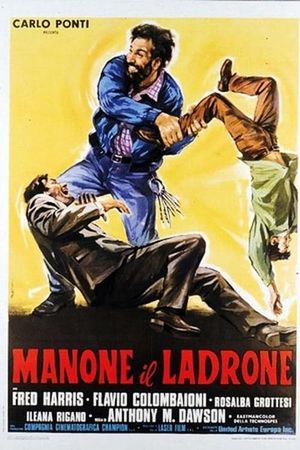 Manone il ladrone's poster