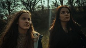 The Winter Witch's poster