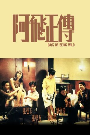 Days of Being Wild's poster