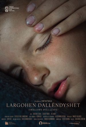 Largohen Dallëndyshet's poster
