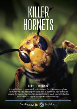 Killer Hornets's poster