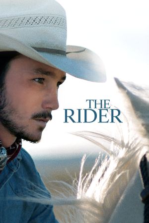 The Rider's poster