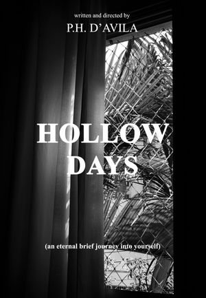 HOLLOW DAYS - an eternal brief journey into yourself's poster