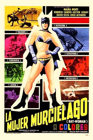 The Bat Woman's poster