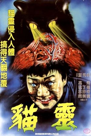 Devil Cat's poster