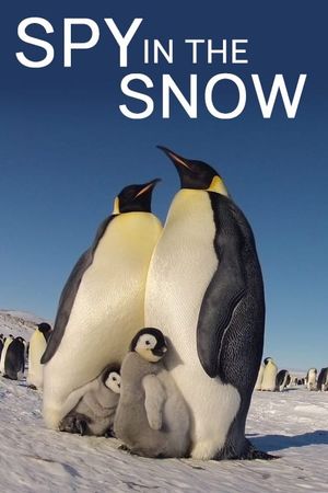 Spy in the Snow's poster