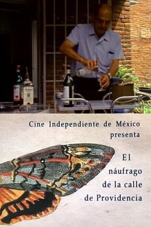 El náufrago de la calle Providencia's poster