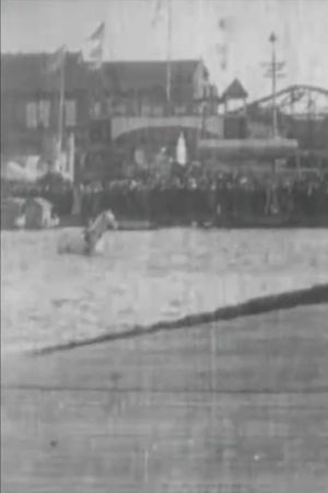 The Diving Horse's poster