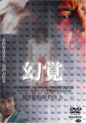 Hallucination's poster