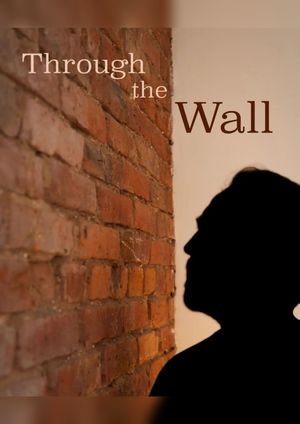 Through the Wall's poster