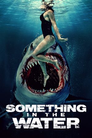 Something in the Water's poster