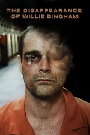 The Disappearance of Willie Bingham's poster