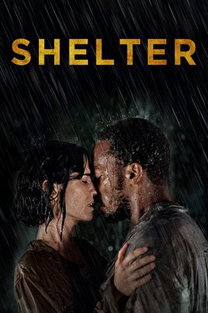 Shelter's poster