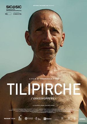 Grasshoppers's poster
